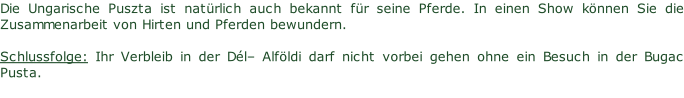 Die Ungarische Puszta ist natürlich auch bekannt für seine Pferde. In einen Show können Sie die Zusammenarbeit von Hirten und Pferden bewundern.  Schlussfolge: Ihr Verbleib in der Dél– Alföldi darf nicht vorbei gehen ohne ein Besuch in der Bugac Pusta.