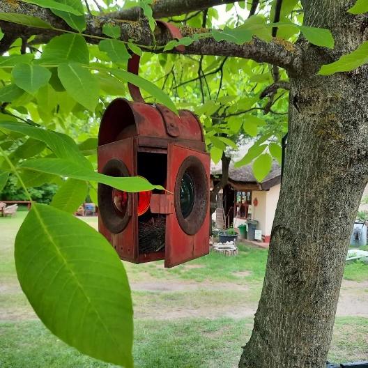 New life at the camping