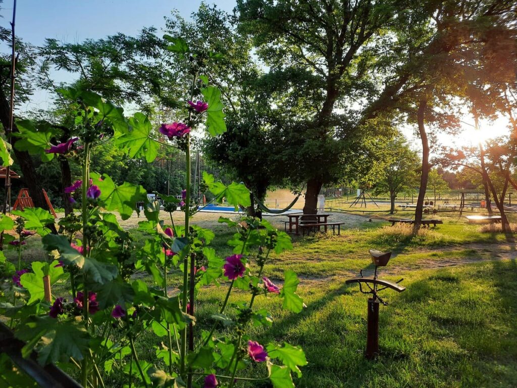 camping oazis tanya hungary