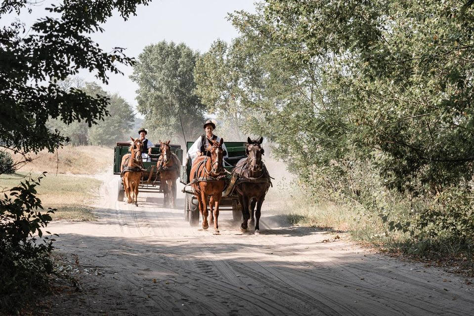 horse carriage ride en