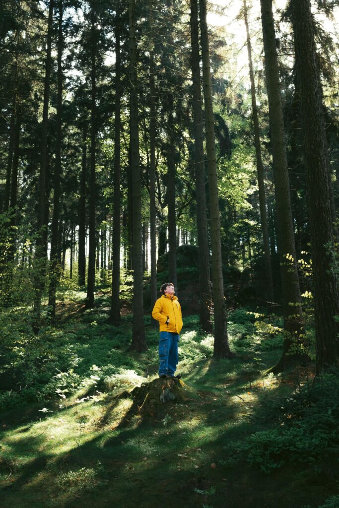 Man in yellow jacket standing among tall trees in Zittau forest, Germany.