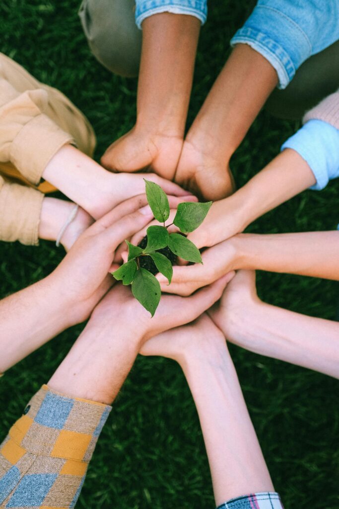 Hands united around a plant symbolizing teamwork and eco-friendly efforts outdoors.